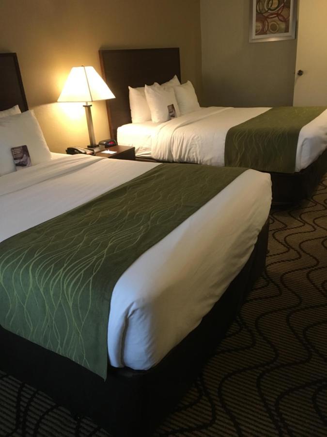 Comfort Inn & Suites Orange County John Wayne Airport Santa Ana Eksteriør billede